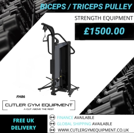 FH86 BICEPS / TRICEPS PULLEY