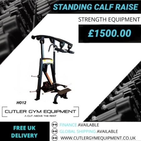 HO12 STANDING CALF RAISE