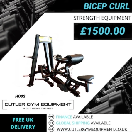 HO02 BICEP CURL